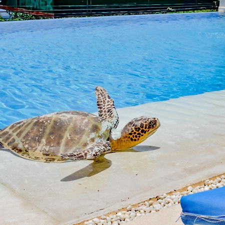 Villa Del Pescador Zihuatanejo Eksteriør bilde