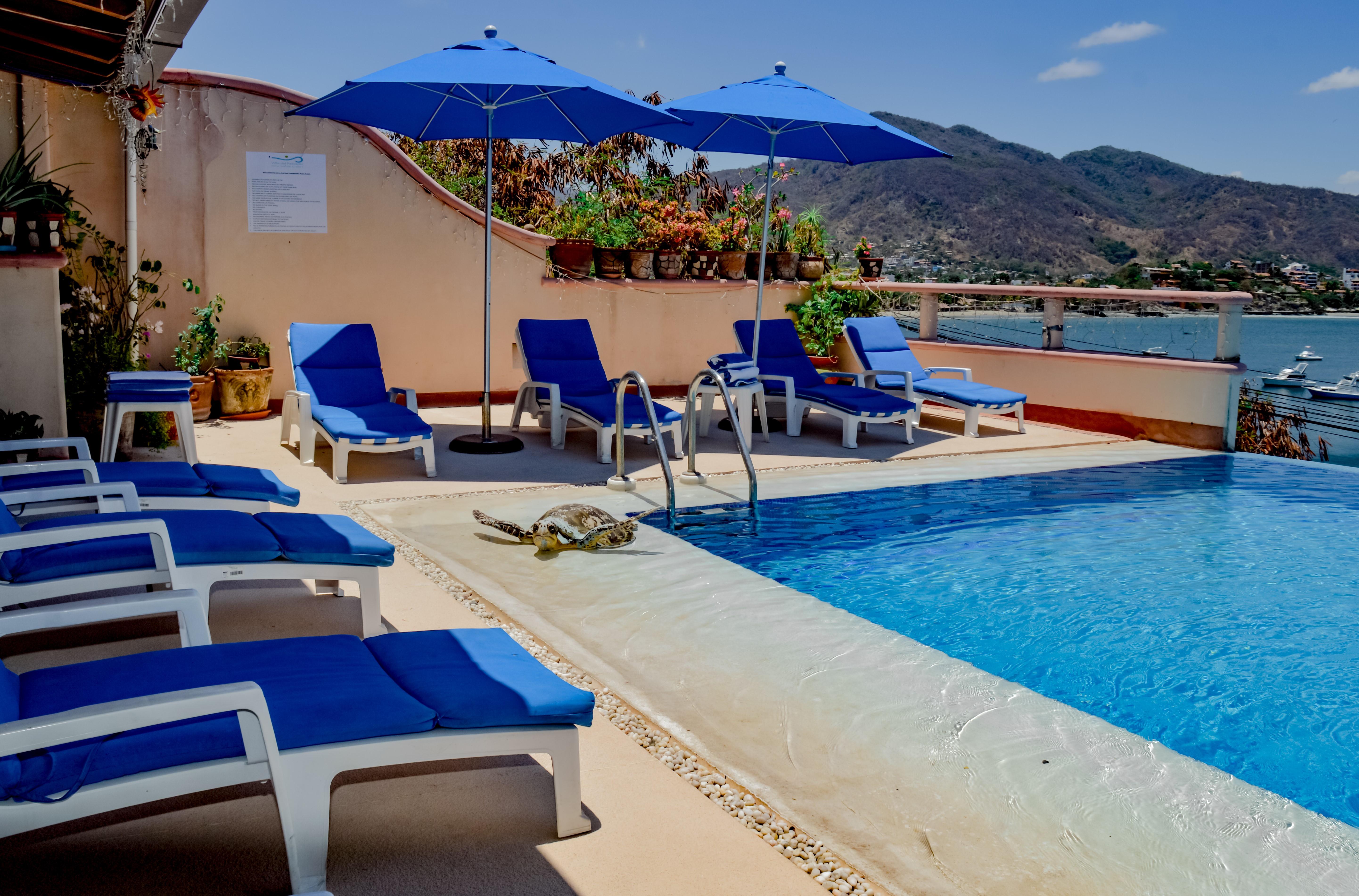 Villa Del Pescador Zihuatanejo Eksteriør bilde